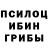 Галлюциногенные грибы мухоморы Ivan Ivez